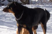 janvier 2003_0279